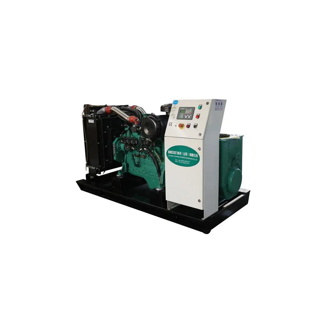 Manufacturers direct selling CE Approved Bio Gas Domestic Generators For Biogas Plant From Animal Waste