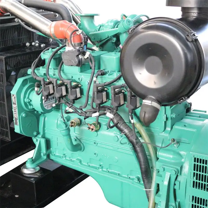Manufacturers direct selling CE Approved Bio Gas Domestic Generators For Biogas Plant From Animal Waste