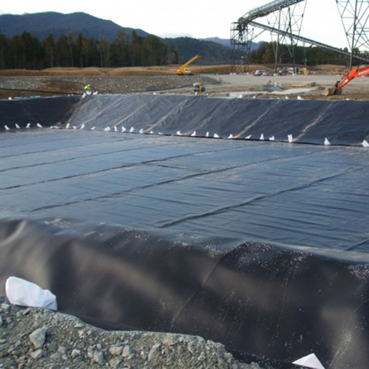 Wholesale price polyethylene geomembrane hdpe plastic geo membrane rolls hdpe pond liner 500 microns