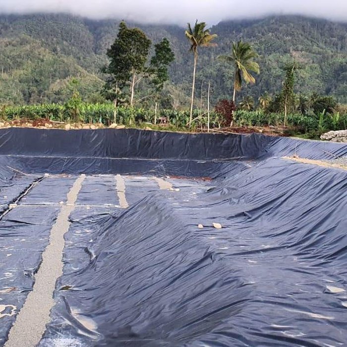 Wholesale price polyethylene geomembrane hdpe plastic geo membrane rolls hdpe pond liner 500 microns