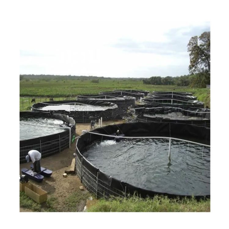 HDPE /LDPE /lldpe geomembrane/pond liner