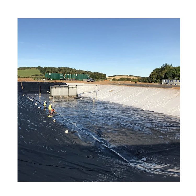 HDPE /LDPE /lldpe geomembrane/pond liner