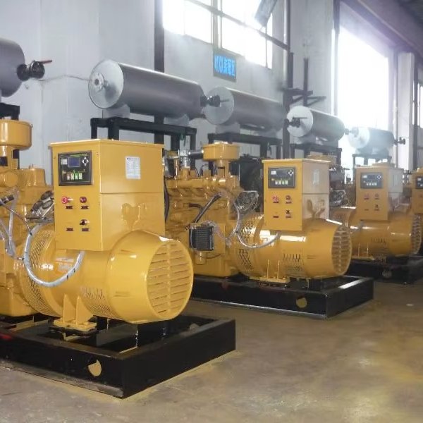 Electric supplier high quality biogas generator set