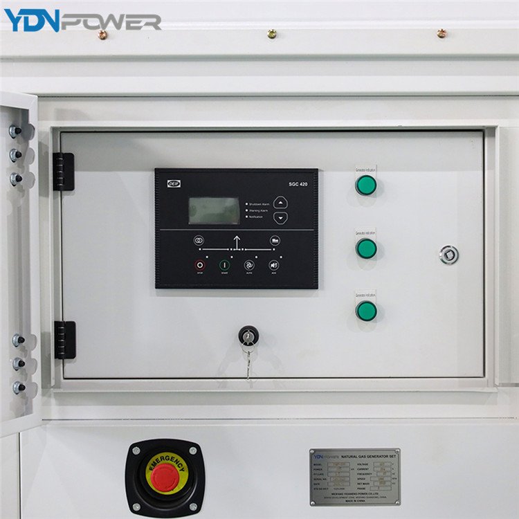 Customized Logo Waste Heat Recovery CSA High Performance Price Ratio Kitchen 250KW Biogas Generator Set With FAW Engine
