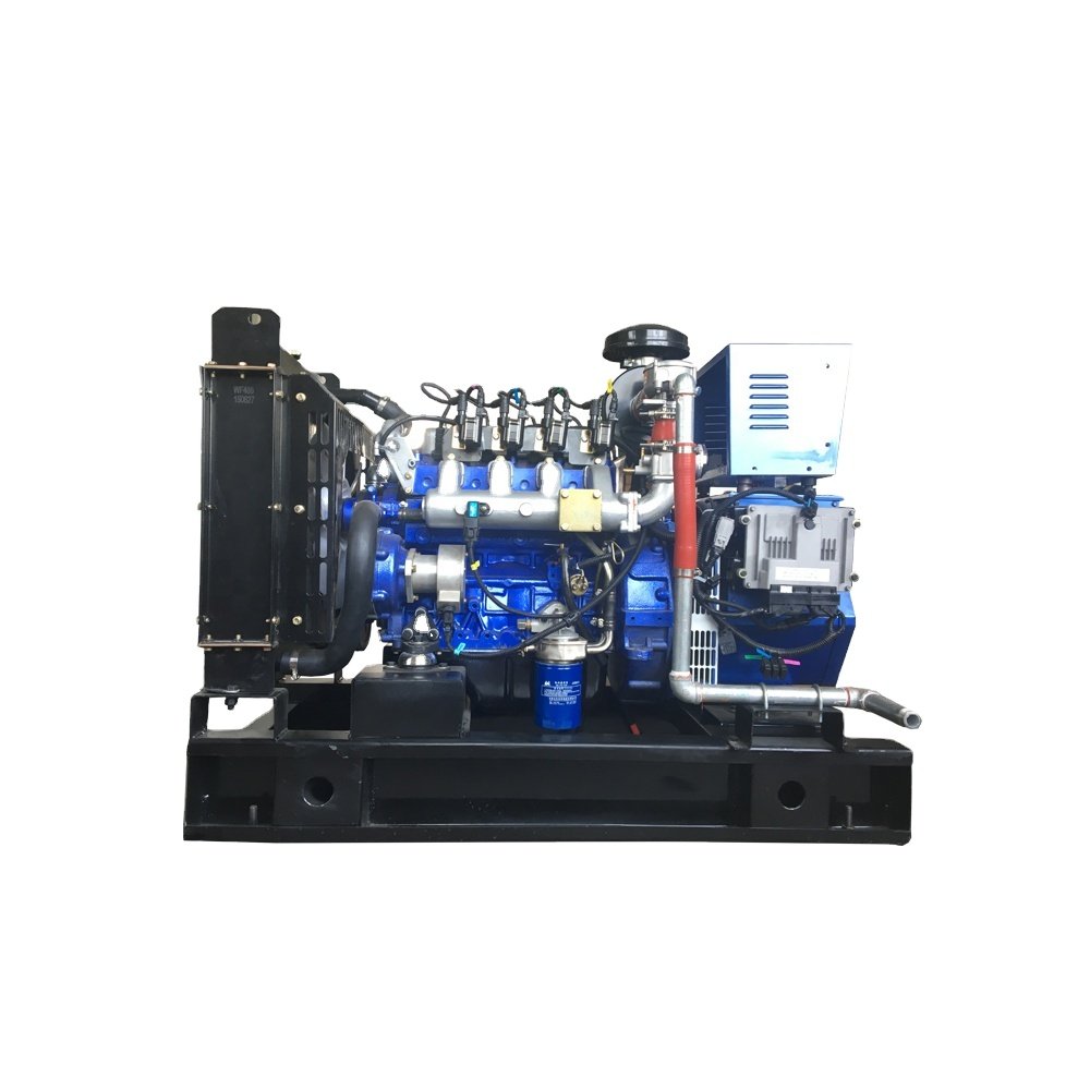 10KW Micro biogas generators for home use cheap biogas generator for sale