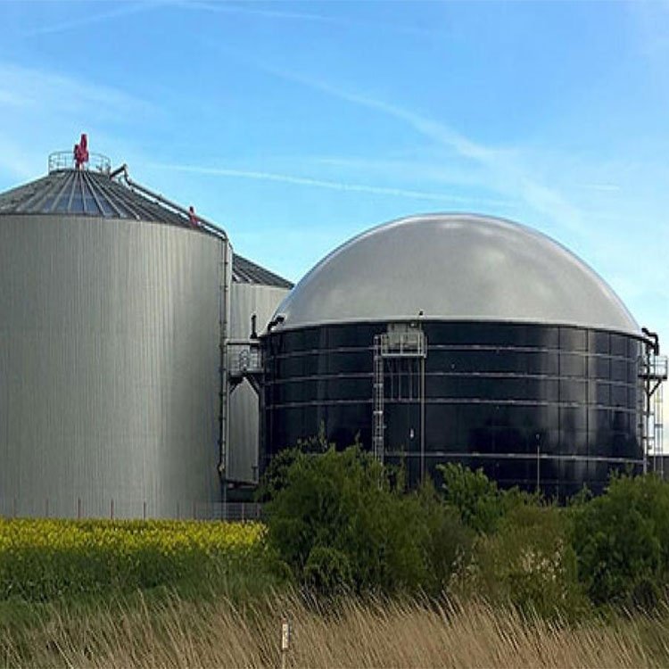 Community Organic Waste Disposal Biogas Plant For Sale