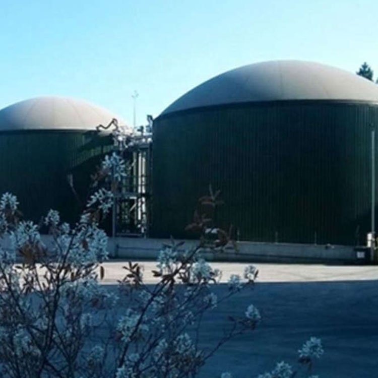 Community Organic Waste Disposal Biogas Plant For Sale