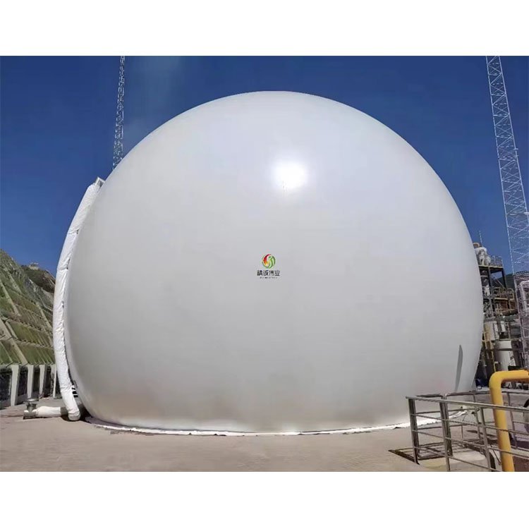 Community Organic Waste Disposal Biogas Plant For Sale