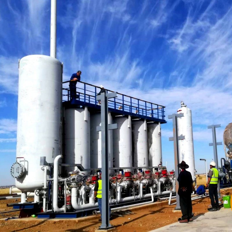 Reliable Methane Recovery Plant 0.3-3.0Mpa Low Noise PSA Flexible Biogas Plant for Biogas