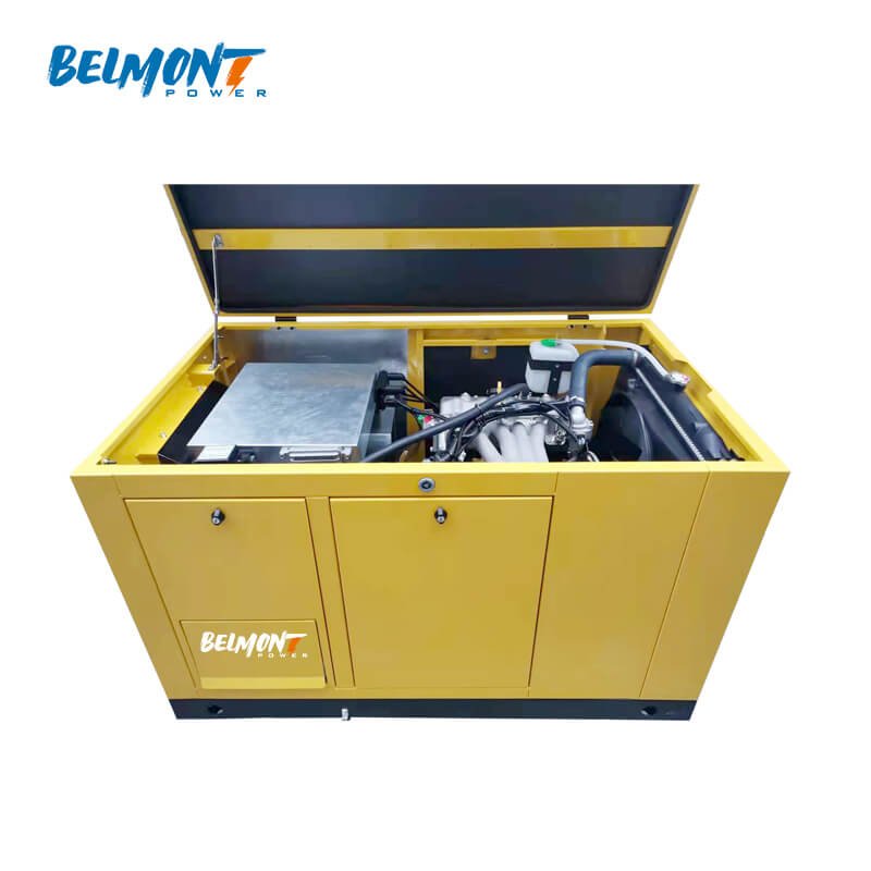 7kw 8kw 14kw 15kw 17.5kv 19Kva 20kva 16kw 25kva 36kva 20kw 22kw 23kw Air Cooled LPG Home Natural Gas Generator for Whole House
