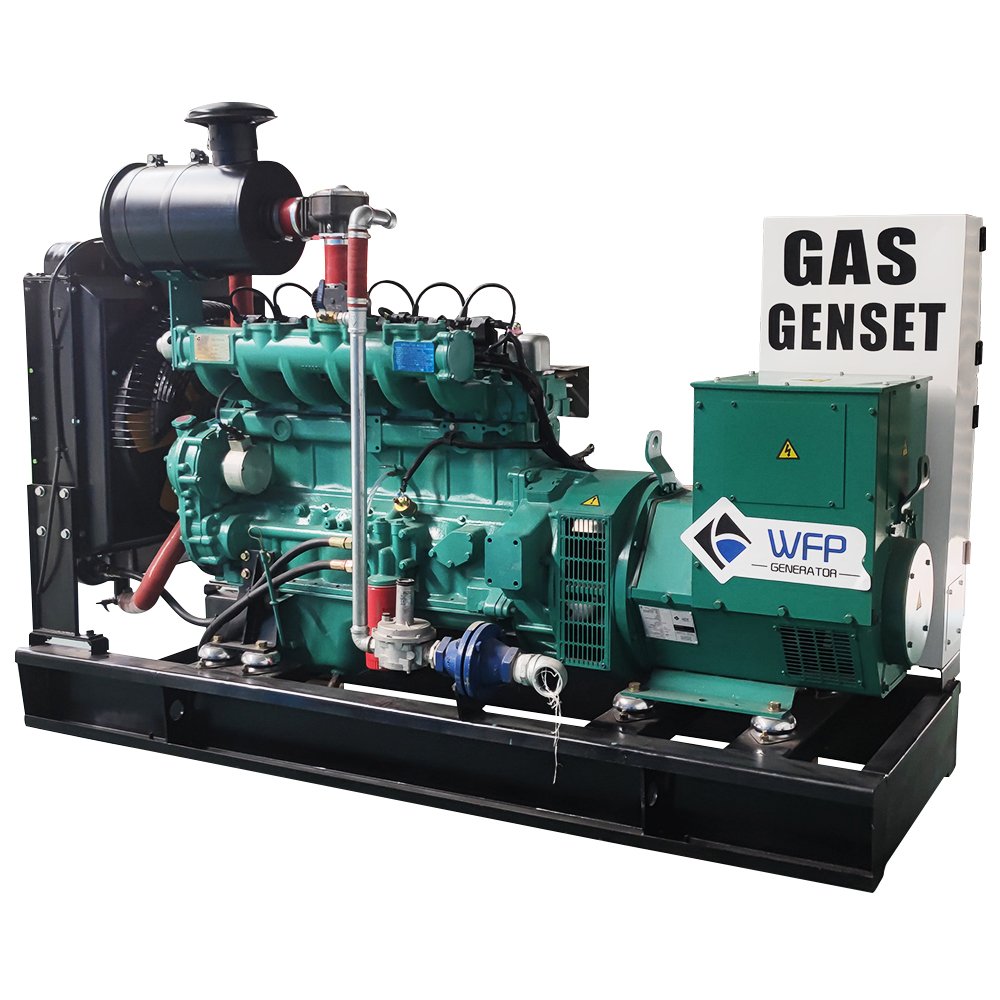High quality 250kw 50/60HZ biogas liquefied petroleum gas gas generator set