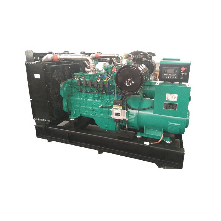 Clean Energy 10KW to 1000KW natural gas methane biomass biogas gas generator