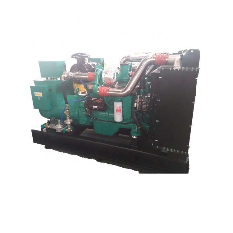 Clean Energy 10KW to 1000KW natural gas methane biomass biogas gas generator