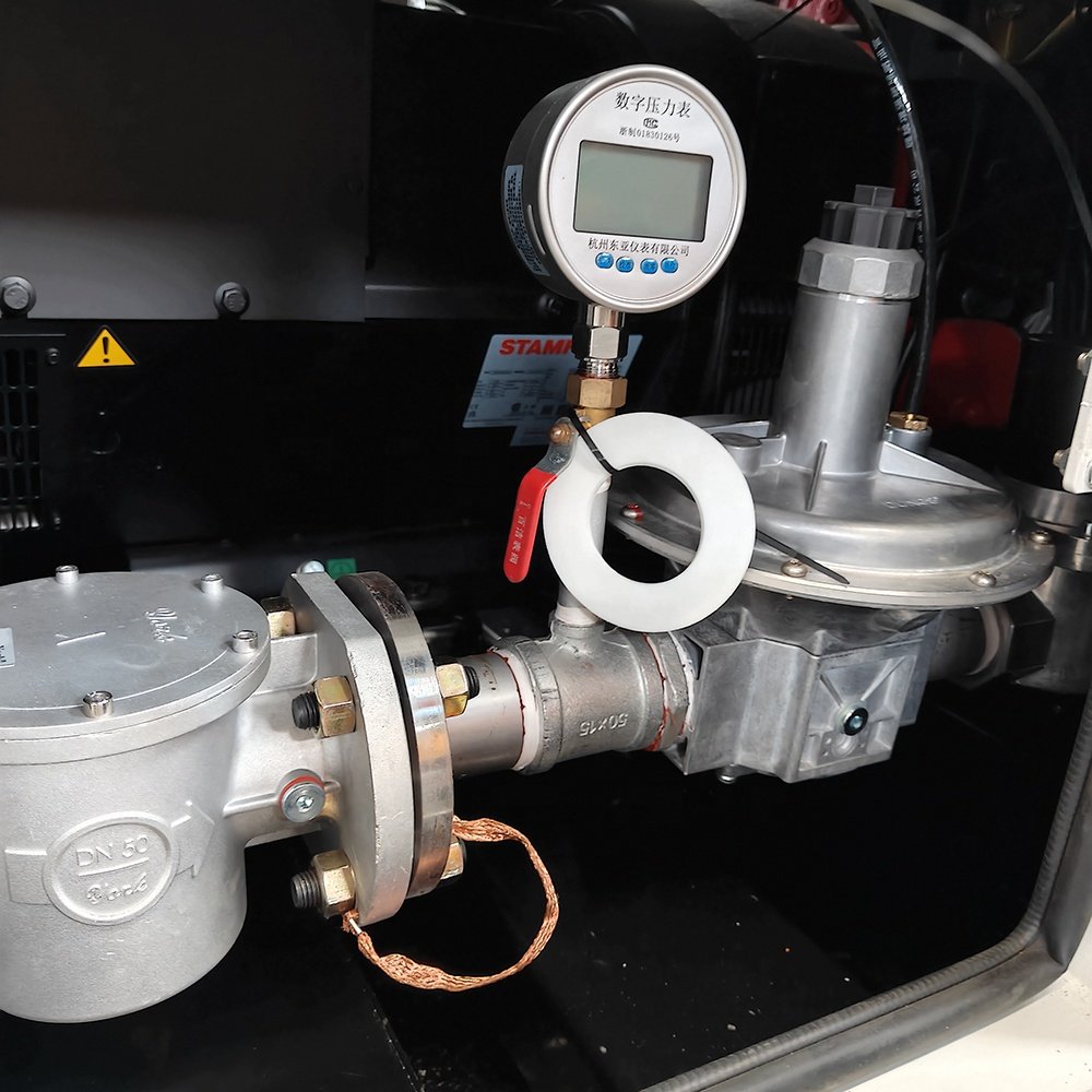 China Supplier Silent Propane/ Natural Gas /LPG/LNG/CNG Biogas Generator 200 kW 250kVA