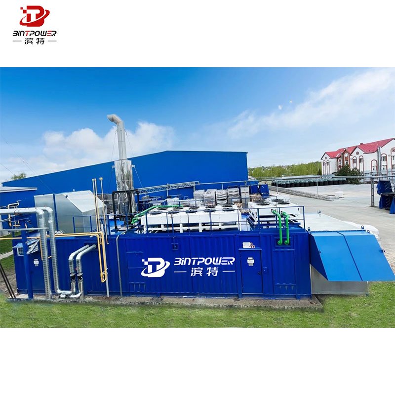 Binte Power 1000kw 1 MW Generator Natural Gas Power Generator Set