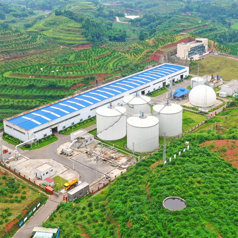 Automation Biogas H2S Scrubber Less Corrosive Amine Solution Separation CO2 To Methane