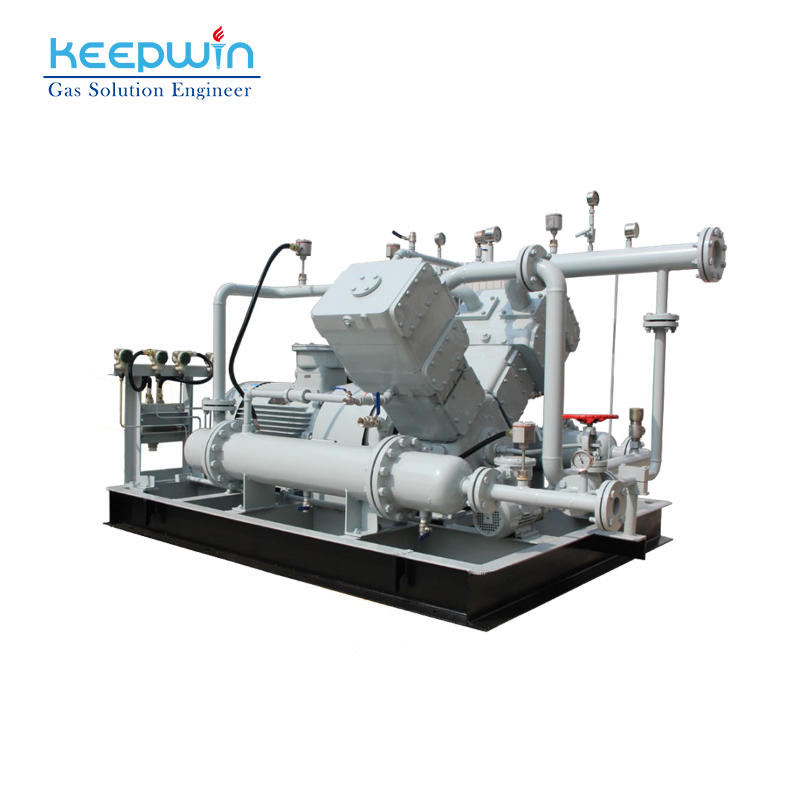 High-Pressure Compressor China Biogas Compressor LPG for Lpg Gas Tank ZW-1.5/10-16