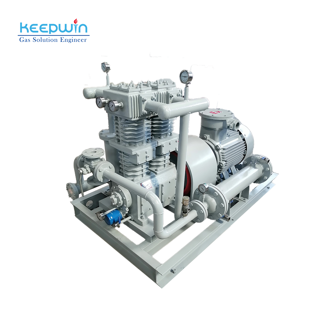High-Pressure Compressor China Biogas Compressor LPG for Lpg Gas Tank ZW-1.5/10-16