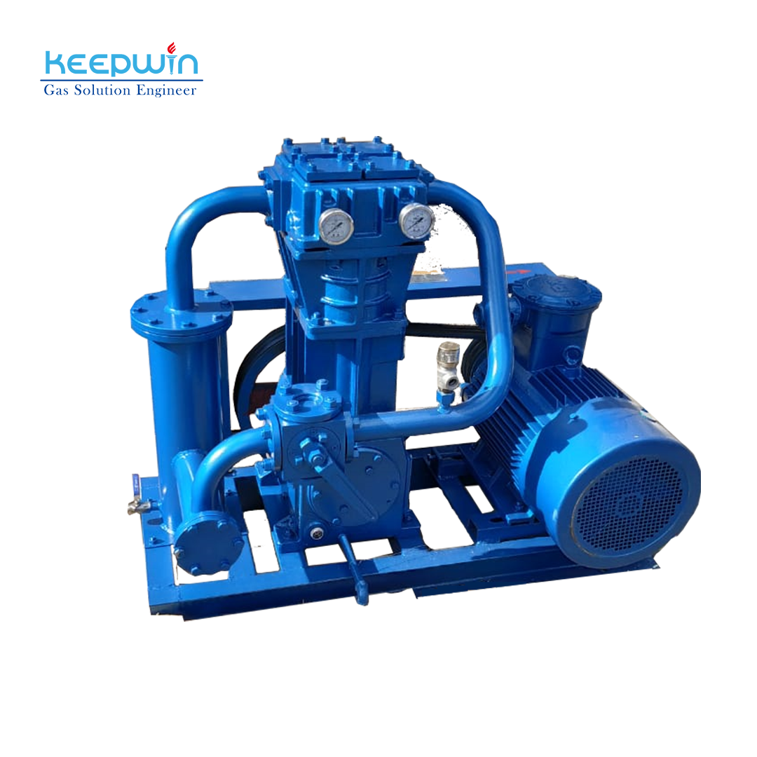 High-Pressure Compressor China Biogas Compressor LPG for Lpg Gas Tank ZW-1.5/10-16