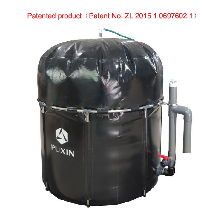China PUXIN New Portable Small Biogas Plant System for Home