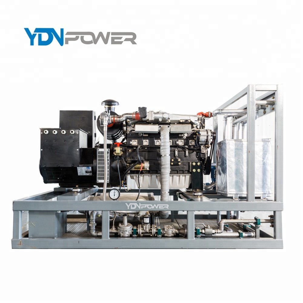 Private customized static speaker waste heat recovery 60KVA /50KW cogeneration biogas electricity generator