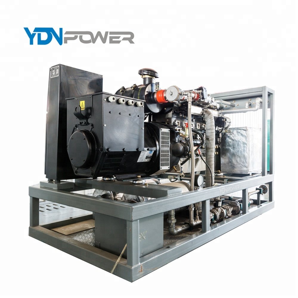 Private customized static speaker waste heat recovery 60KVA /50KW cogeneration biogas electricity generator