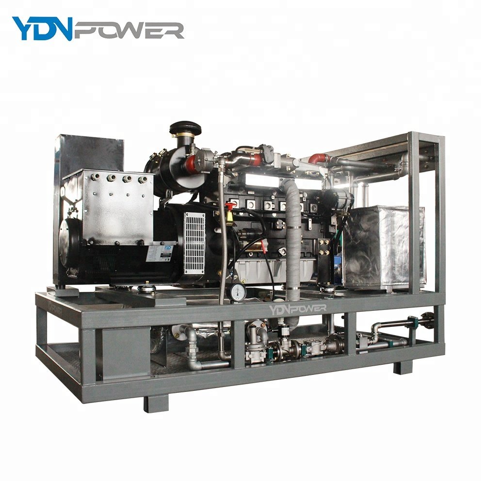 Private customized static speaker waste heat recovery 60KVA /50KW cogeneration biogas electricity generator
