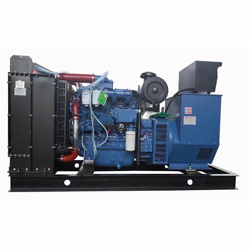 25kw 30kva 400v 50hz 60hz Gasoline Operating Generators LPG Gas Generator Natural Gas Generators For Home