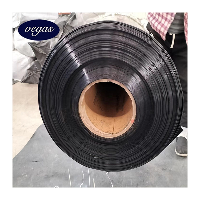 Geomembrane High Quality Good Sercive ASTM HDPE Geomembrane for Landfil Wastewater Mining Biogas Digester