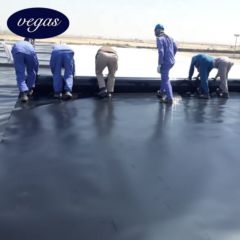 Geomembrane High Quality Good Sercive ASTM HDPE Geomembrane for Landfil Wastewater Mining Biogas Digester