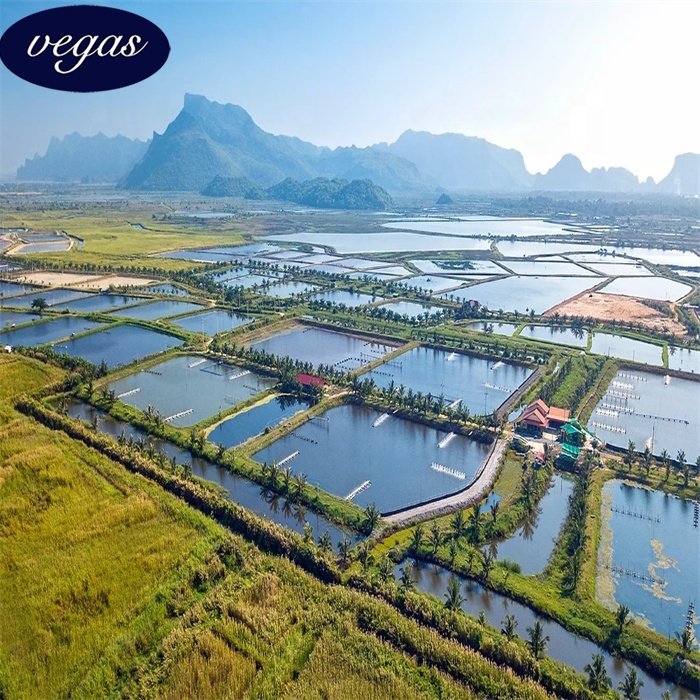 100% virgin Black HDPE geomembrane Shrimp fish pond liner hdpe geomembrane liner