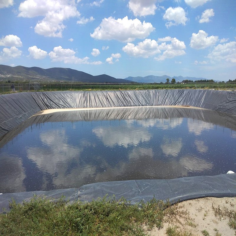 Wholesale price factory supply geomembrane hdpe 1mm fish pond plastic garden liner roll high value