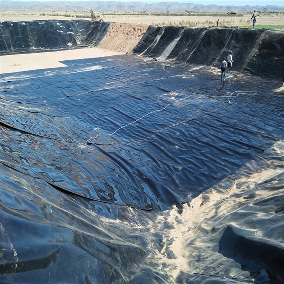Wholesale price factory supply geomembrane hdpe 1mm fish pond plastic garden liner roll high value