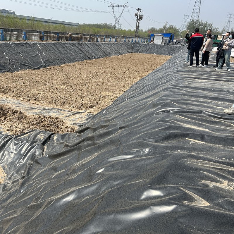 ASTM virgin material puxin biogas digester waterproof roof sheet geomembrane for distributor
