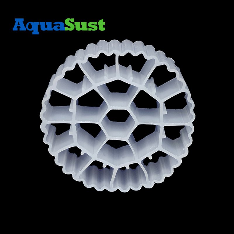 Enhanced Nutrient Removal Bio Filter For Aquaculture for Biogas Generation System Design
