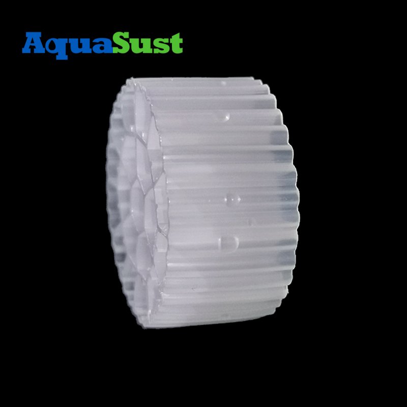 Enhanced Nutrient Removal Bio Filter For Aquaculture for Biogas Generation System Design