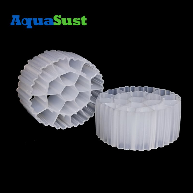 Enhanced Nutrient Removal Bio Filter For Aquaculture for Biogas Generation System Design