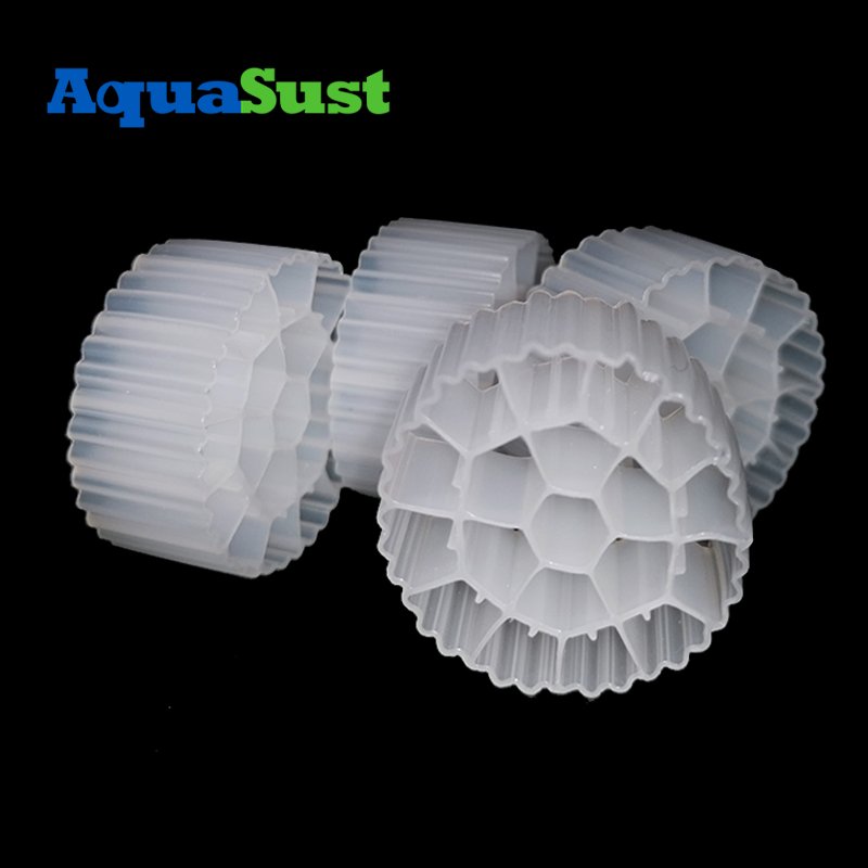 Enhanced Nutrient Removal Bio Filter For Aquaculture for Biogas Generation System Design