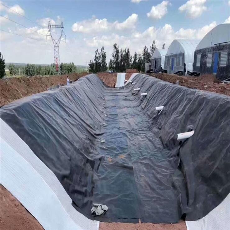 2 mm industrial wastewater anaerobic digesters waterproofing geomembrane/ hdpe anti-seepage membrane manufacturer