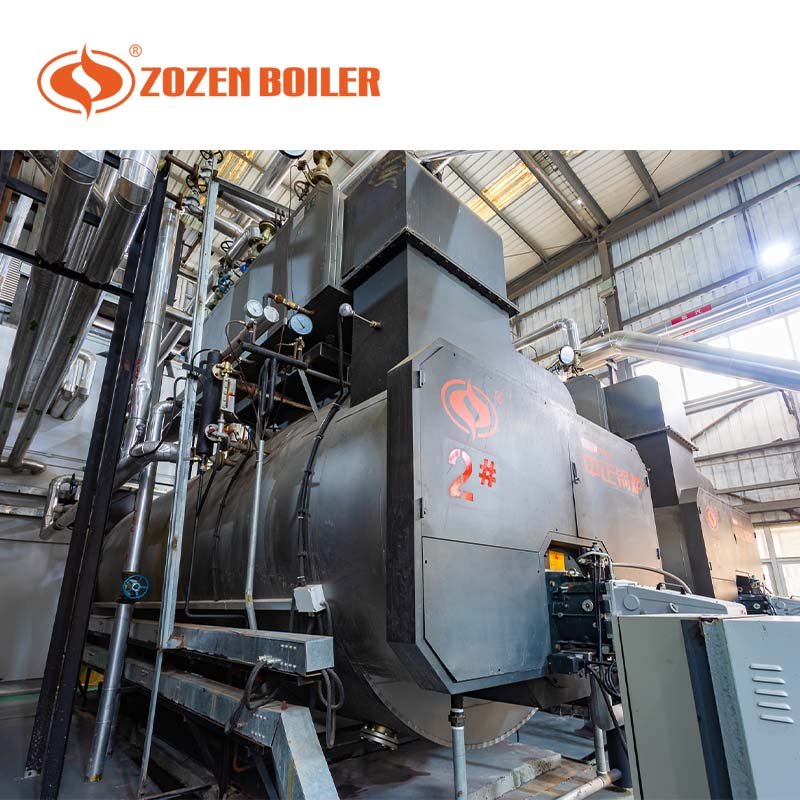 Environmentally friendly 100bhp lpg coke oven gas diesel oil fired industrial steam boiler for fodder
