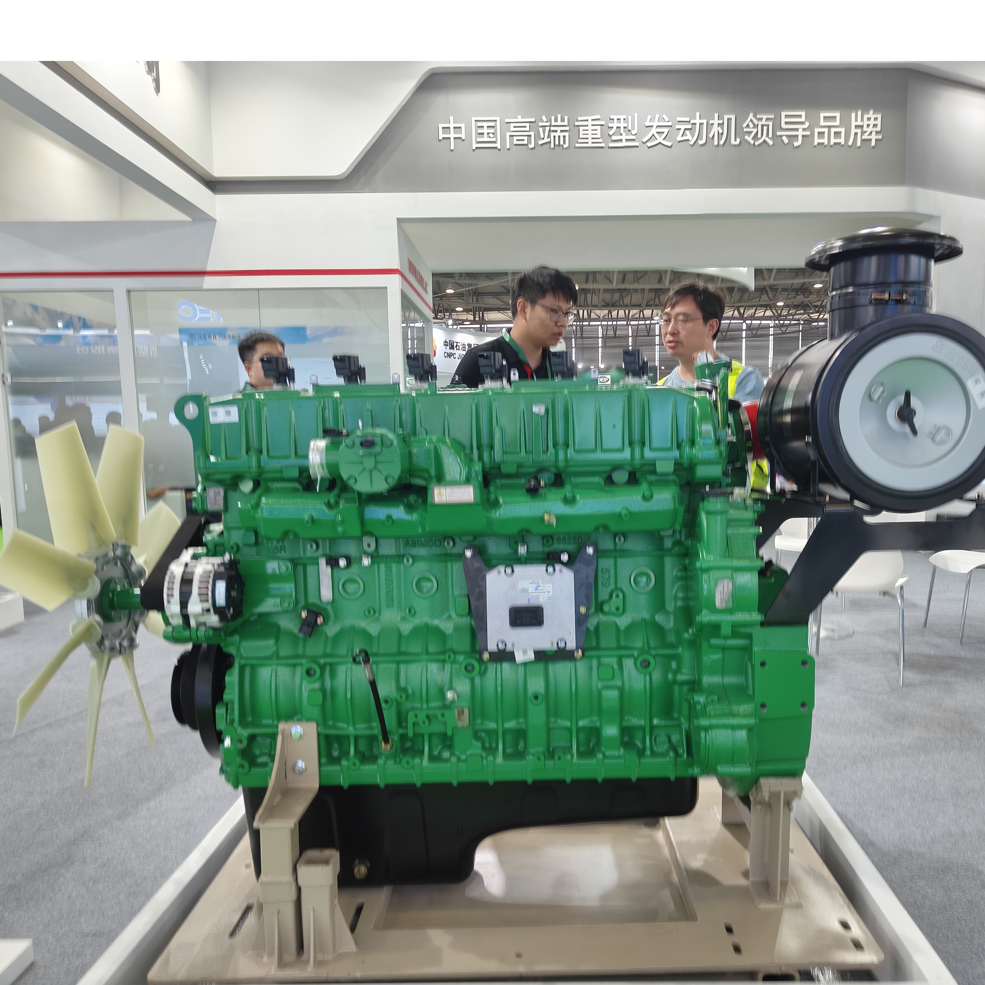 3 Phase 250kVA Generator Gas Natural 200kW Generator Lpg 50Hz 60Hz Generator Bio Gas With High Quality