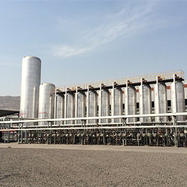 Cost-Effective Methane Gas Generation System 200Kw Long Lifespan Psa Commercial Biogas Plant from Biogas