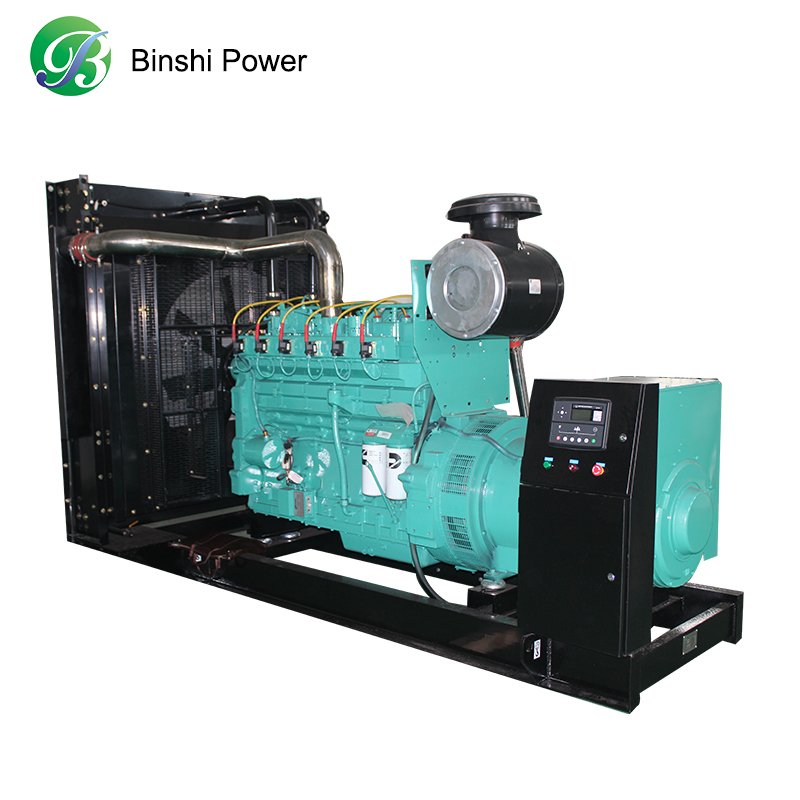 Portable Silent Cogeneration Home Gas Turbine Generator 30kw Set Biogas Power Plant with CHP