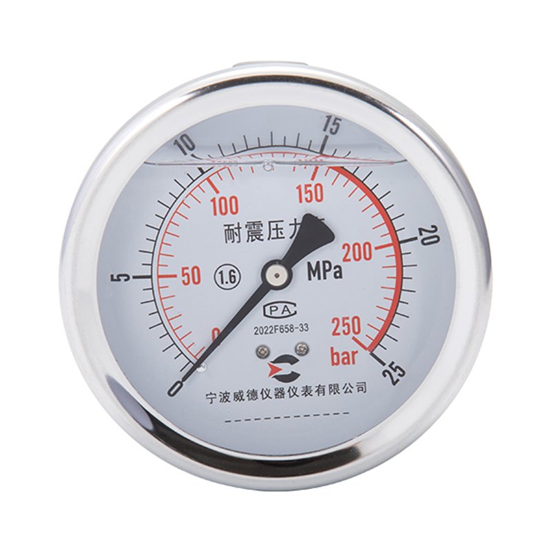 New Arrival 4" Pressure Meter Test Stainless Steel Housing Brass Thread Propane Gas Pressure Gauge for Biogas Plant
