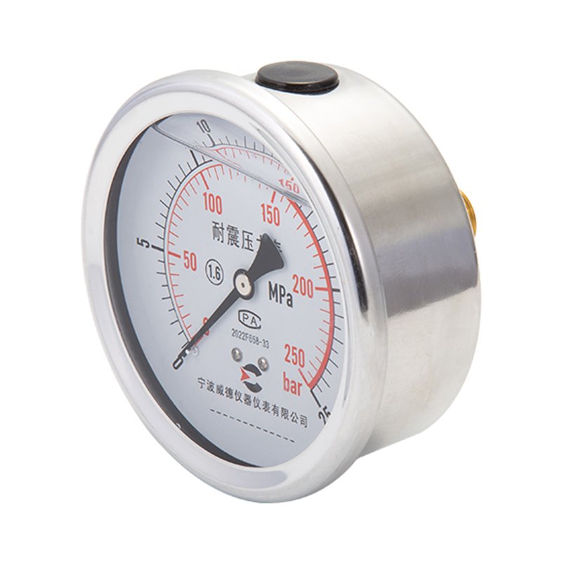 New Arrival 4" Pressure Meter Test Stainless Steel Housing Brass Thread Propane Gas Pressure Gauge for Biogas Plant