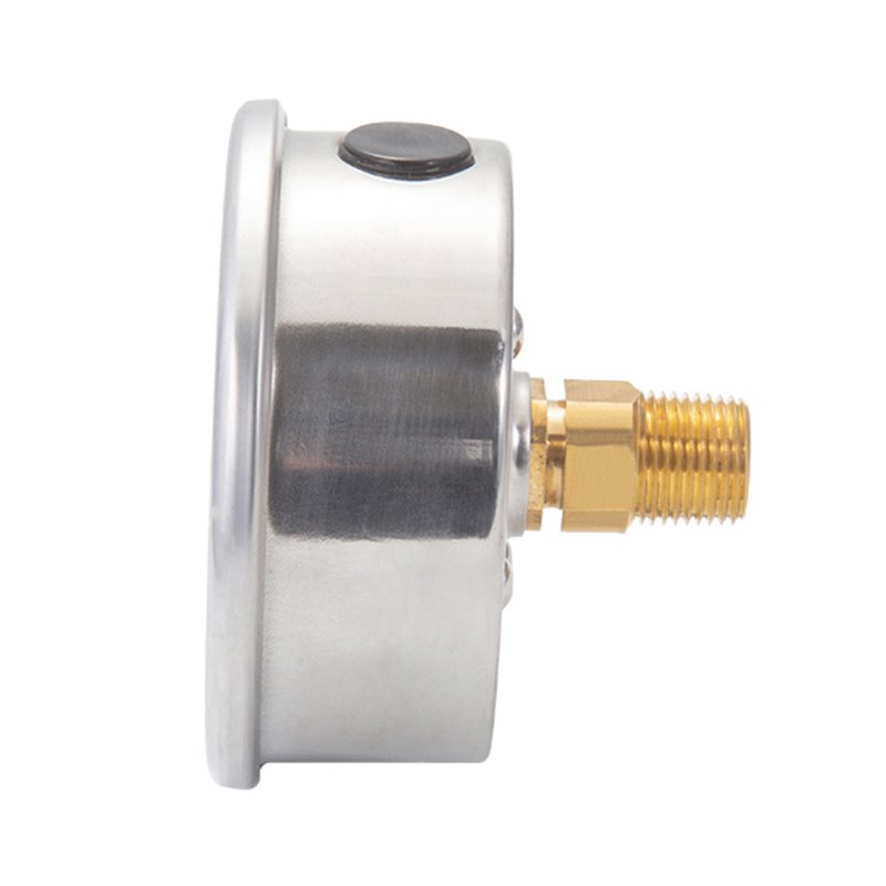 New Arrival 4" Pressure Meter Test Stainless Steel Housing Brass Thread Propane Gas Pressure Gauge for Biogas Plant