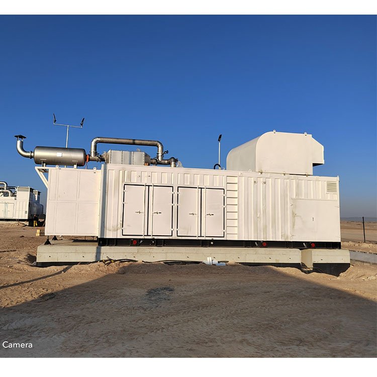 NATURAL GAS ELECTRICITY POWER PLANT 500KW 1000KW 2000kw 4000kw Natural Gas Genset