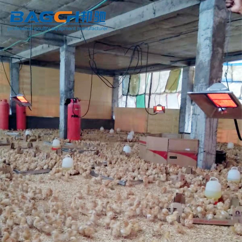 Biogas Ir Radiant Poultry Farm Usage Thermostat Infrared Ceramic Gas Heater Brooder for Chick Heating System