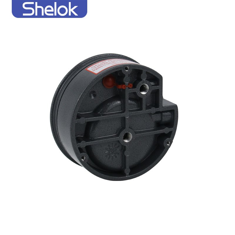 Shelok Negative Vacuum Gauges Mini 300Bar Pressure Manometer For Bioga Plant Pressure Gauge