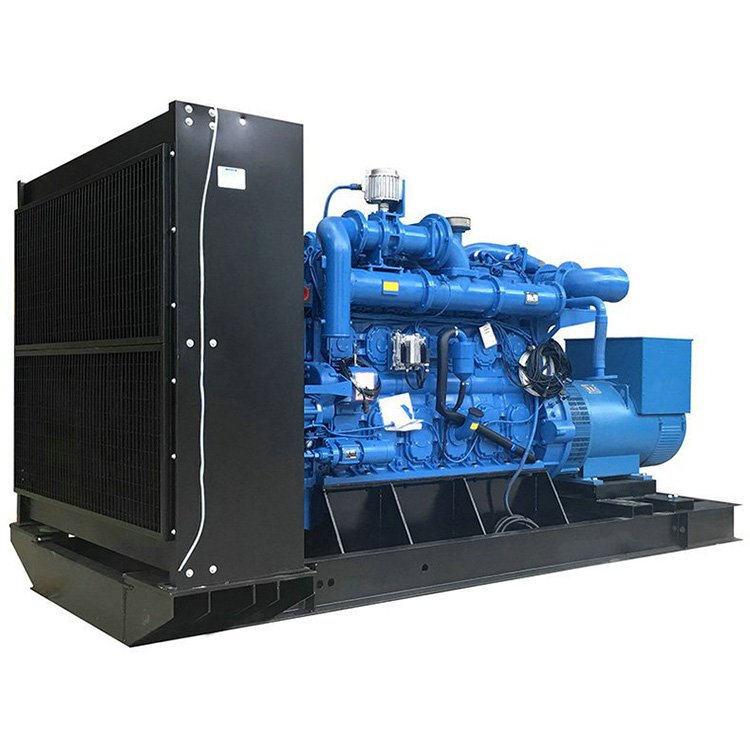 SHX Natural Gas Generator Set Price 300kw LPG LNG Genset 375kva Water Cool Electricity Generation